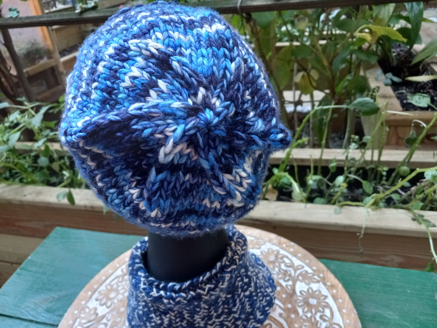 Blue Jay Set