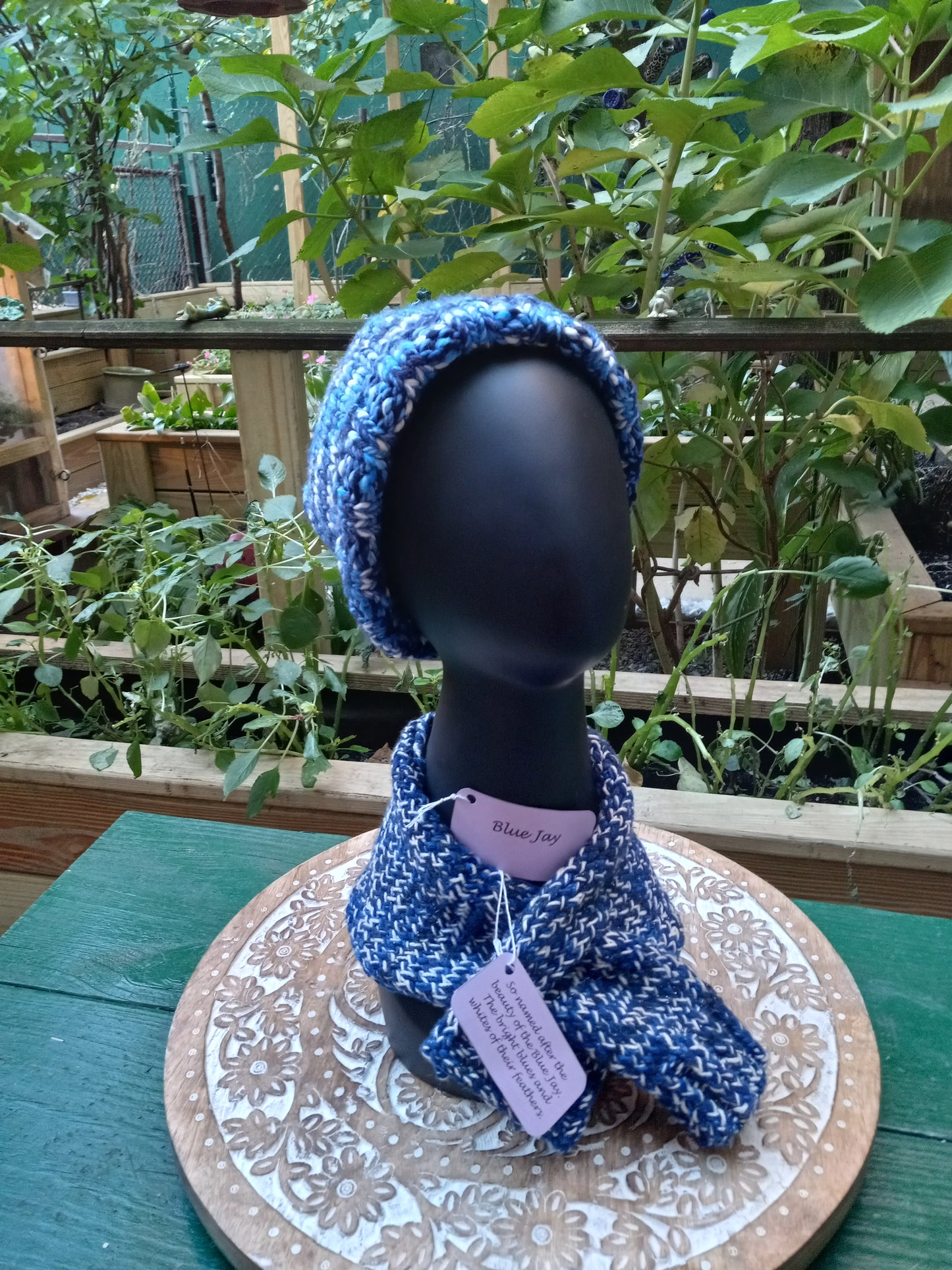 Blue Jay Set