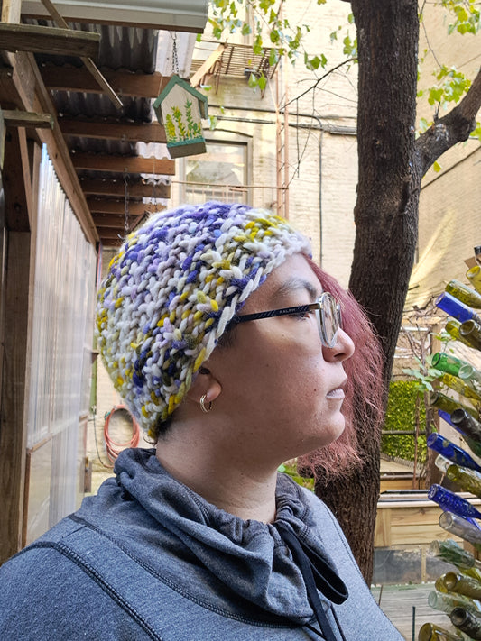 Yellow/Purple Chunky Hat