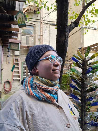 Four Seasons Dragon Tail