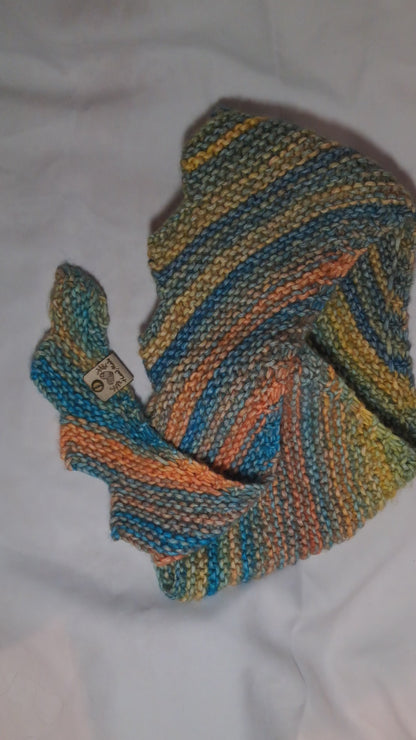 Four Seasons Dragon Tail